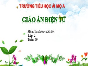 Bài giảng Tự nhiên xã hội Lớp 2 - Bài 19: Đường giao thông - Trường Tiểu học Ái Mộ A