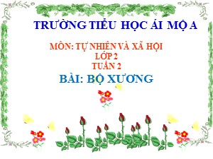 Bài giảng Tự nhiên xã hội Lớp 2 - Bài 2: Bộ xương - Năm học 2018-2019 - Trường Tiểu học Ái Mộ A