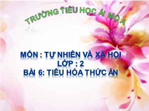 Bài giảng Tự nhiên xã hội Lớp 2 - Bài 6: Tiêu hóa thức ăn - Năm học 2018-2019 - Trường Tiểu học Ái Mộ A