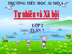 Bài giảng Tự nhiên xã hội Lớp 2 - Bài 7: Ăn uống đầy đủ - Năm học 2018-2019 - Trường Tiểu học Ái Mộ A