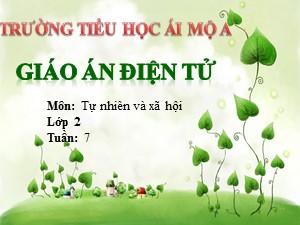 Bài giảng Tự nhiên xã hội Lớp 2 - Bài 7: Ăn uống đầy đủ - Năm học 2017-2018 - Trường Tiểu học Ái Mộ A