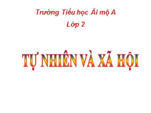 Bài giảng Tự nhiên xã hội Lớp 2 - Bài 7: Ăn uống đầy đủ - Năm học 2020-2021 - Trường Tiểu học Ái Mộ A