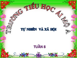Bài giảng Tự nhiên xã hội Lớp 2 - Bài 8: Ăn uống sạch sẽ - Năm học 2018-2019 - Trường Tiểu học Ái Mộ A