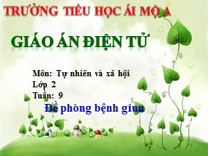 Bài giảng Tự nhiên xã hội Lớp 2 - Bài 9: Đề phòng bệnh giun - Năm học 2017-2018 - Trường Tiểu học Ái Mộ A