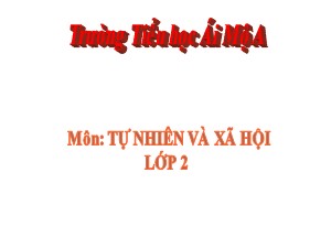 Bài giảng Tự nhiên xã hội Lớp 2 - Bài 9: Đề phòng bệnh giun - Năm học 2018-2019 - Trường Tiểu học Ái Mộ A