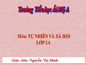 Bài giảng Tự nhiên xã hội Lớp 2 - Bài 9: Đề phòng bệnh giun - Nguyễn Thị Minh