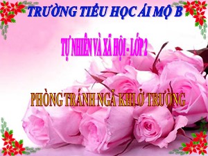 Bài giảng Tự nhiên xã hội Lớp 2 - Tuần 12: Phòng tránh ngã khi ở trường - Trường Tiểu học Ái Mộ B