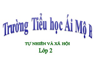 Bài giảng Tự nhiên xã hội Lớp 2 - Tuần 14: Phòng tránh ngộ độc khi ở nhà - Trường Tiểu học Ái Mộ B