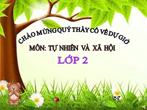 Bài giảng Tự nhiên xã hội Lớp 2 - Tuần 15: Trường học - Trường Tiểu học Ái Mộ A