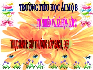 Bài giảng Tự nhiên xã hội Lớp 2 - Tuần 18: Bài thực hành Giữ trường lớp sạch, đẹp - Trường Tiểu học Ái Mộ B