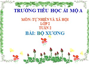 Bài giảng Tự nhiên xã hội Lớp 2 - Tuần 2: Hệ xương - Năm học 2020-2021 - Trường Tiểu học Ái Mộ A