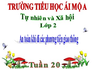 Bài giảng Tự nhiên xã hội Lớp 2 - Tuần 20: An toàn khi đi các phương tiện giao thông - Năm học 2018-2019 - Trường Tiểu học Ái Mộ A