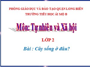 Bài giảng Tự nhiên xã hội Lớp 2 - Tuần 24: Cây sống ở đâu? - Năm học 2020-2021 - Trường Tiểu học Ái Mộ B