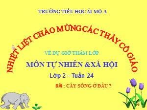 Bài giảng Tự nhiên xã hội Lớp 2 - Tuần 24: Cây sống ở đâu? - Trường Tiểu học Ái Mộ A
