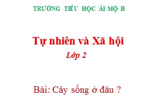 Bài giảng Tự nhiên xã hội Lớp 2 - Tuần 24: Cây sống ở đâu ? - Trường Tiểu học Ái Mộ B