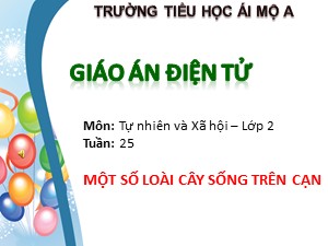 Bài giảng Tự nhiên xã hội Lớp 2 - Tuần 25: Một số loài cây sống trên cạn - Trường Tiểu học Ái Mộ A