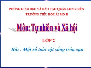 Bài giảng Tự nhiên xã hội Lớp 2 - Tuần 25: Một số loài vật sống trên cạn - Năm học 2020-2021 - Trường Tiểu học Ái Mộ B