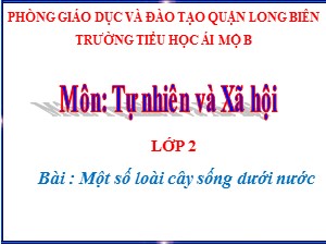 Bài giảng Tự nhiên xã hội Lớp 2 - Tuần 26: Một số loài cây sống dưới nước - Năm học 2020-2021 - Trường Tiểu học Ái Mộ B