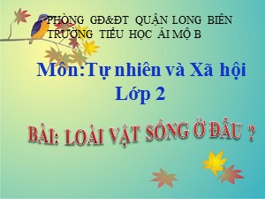 Bài giảng Tự nhiên xã hội Lớp 2 - Tuần 27: Loài vật sống ở đâu? - Năm học 2020-2021 - Trường Tiểu học Ái Mộ B
