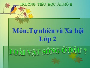 Bài giảng Tự nhiên xã hội Lớp 2 - Tuần 27: Loài vật sống ở đâu - Trường Tiểu học Ái Mộ B