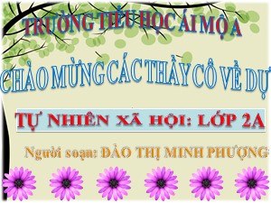 Bài giảng Tự nhiên xã hội Lớp 2 - Tuần 27: Loài vật sống ở đâu? - Năm học 2017-2018 - Đào Thị Minh Phượng