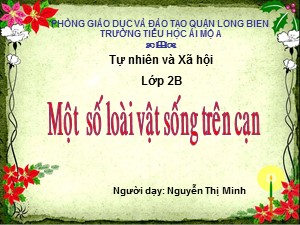 Bài giảng Tự nhiên xã hội Lớp 2 - Tuần 28: Một số loài vật sống trên cạn - Năm học 2017-2018 - Nguyễn Thị Minh