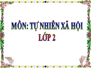 Bài giảng Tự nhiên xã hội Lớp 2 - Tuần 28: Một số loài vật sống trên cạn - Năm học 2020-2021 - Trường Tiểu học Ái Mộ A
