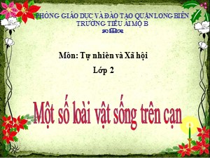 Bài giảng Tự nhiên xã hội Lớp 2 - Tuần 28: Một số loài vật sống trên cạn - Năm học 2020-2021 - Trường Tiểu học Ái Mộ B