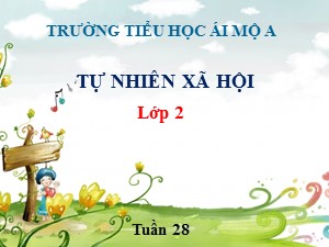 Bài giảng Tự nhiên xã hội Lớp 2 - Tuần 28: Một số loài vật sống trên cạn - Năm học 2018-2019 - Trường Tiểu học Ái Mộ A