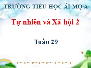 Bài giảng Tự nhiên xã hội Lớp 2 - Tuần 29: Một số loài vật sống dưới nước - Năm học 2018-2019 - Trường Tiểu học Ái Mộ A