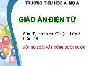 Bài giảng Tự nhiên xã hội Lớp 2 - Tuần 29: Một số loài vật sống dưới nước - Trường Tiểu học Ái Mộ A