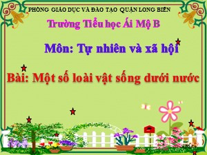 Bài giảng Tự nhiên xã hội Lớp 2 - Tuần 29: Một số loài vật sống dưới nước - Năm học 2020-2021 - Trường Tiểu học Ái Mộ B