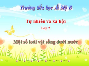 Bài giảng Tự nhiên xã hội Lớp 2 - Tuần 29: Một số loài vật sống dưới nước - Trường Tiểu học Ái Mộ B