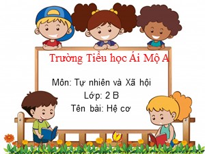 Bài giảng Tự nhiên xã hội Lớp 2 - Tuần 3: Hệ cơ - Năm học 2020-2021 - Trường Tiểu học Ái Mộ A