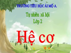 Bài giảng Tự nhiên xã hội Lớp 2 - Tuần 3: Hệ cơ - Trường Tiểu học Ái Mộ A