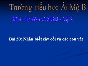 Bài giảng Tự nhiên xã hội Lớp 2 - Tuần 30: Nhận biết cây cối và con vật - Trường Tiểu học Ái Mộ B