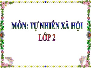 Bài giảng Tự nhiên xã hội Lớp 2 - Tuần 30: Nhận biết cây cối và con vật - Năm học 2020-2021 - Trường Tiểu học Ái Mộ A