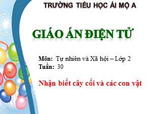 Bài giảng Tự nhiên xã hội Lớp 2 - Tuần 30: Nhận biết cây cối và các con vật - Trường Tiểu học Ái Mộ A