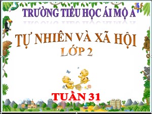 Bài giảng Tự nhiên xã hội Lớp 2 - Tuần 31: Mặt trời - Năm học 2018-2019 - Trường Tiểu học Ái Mộ A