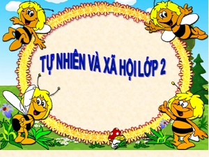Bài giảng Tự nhiên xã hội Lớp 2 - Tuần 5: Cơ quan tiêu hóa - Năm học 2020-2021 - Trường Tiểu học Ái Mộ A