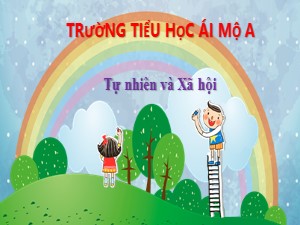 Bài giảng Tự nhiên xã hội Lớp 2 - Tuần 6: Tiêu hóa thức ăn - Năm học 2020-2021 - Trường Tiểu học Ái Mộ A