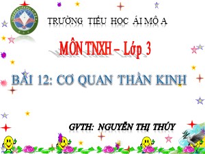 Bài giảng Tự nhiên xã hội Lớp 3 - Bài 12: Cơ quan thần kinh - Nguyễn Thị Thúy