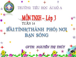 Bài giảng Tự nhiên xã hội Lớp 3 - Tuần 14: Tỉnh (thành phố) nơi bạn sống - Nguyễn Thị Thúy