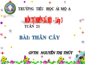 Bài giảng Tự nhiên xã hội Lớp 3 - Tuần 21: Thân cây - Nguyễn Thị Thúy