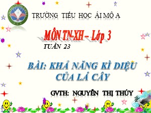 Bài giảng Tự nhiên xã hội Lớp 3 - Tuần 23: Khả năng kì diệu của lá cây - Nguyễn Thị Thúy