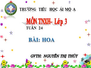 Bài giảng Tự nhiên xã hội Lớp 3 - Tuần 24: Hoa - Nguyễn Thị Thúy