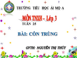 Bài giảng Tự nhiên xã hội Lớp 3 - Tuần 25: Côn trùng - Nguyễn Thị Thúy