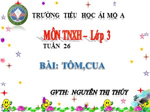 Bài giảng Tự nhiên xã hội Lớp 3 - Tuần 26: Tôm, cua - Nguyễn Thị Thúy