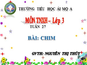 Bài giảng Tự nhiên xã hội Lớp 3 - Tuần 27: Chim - Nguyễn Thị Thúy