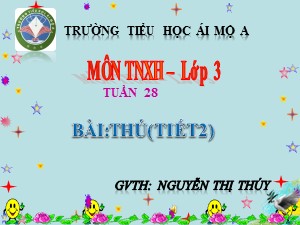 Bài giảng Tự nhiên xã hội Lớp 3 - Tuần 28: Thú (Tiết 2) - Nguyễn Thị Thúy